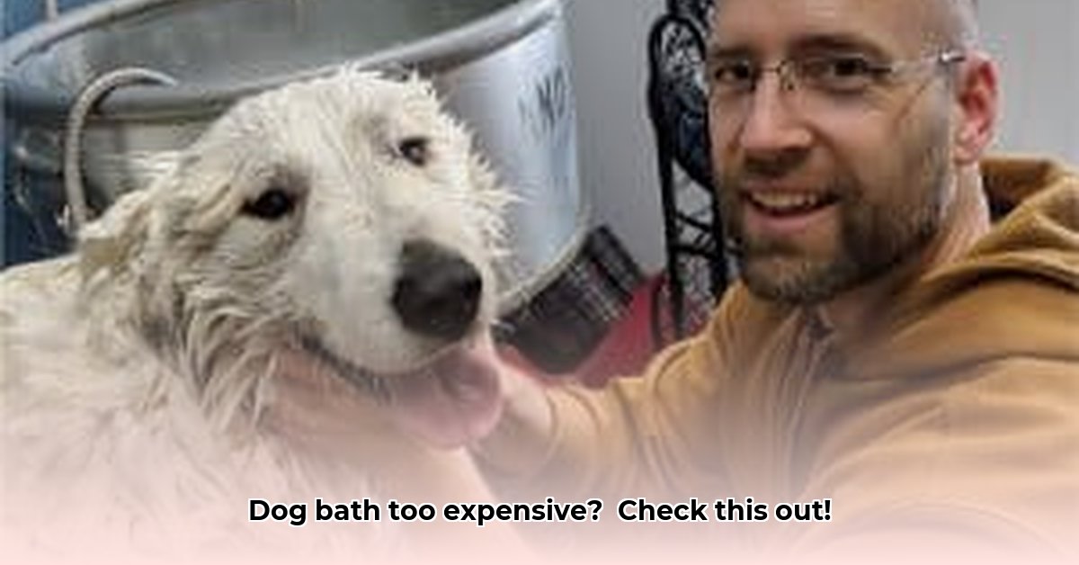 pet-wash-at-tractor-supply